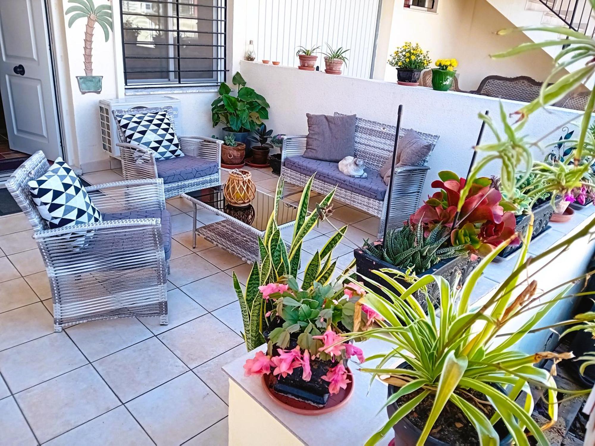 הוילה San Fulgencio Casa Vikingo מראה חיצוני תמונה